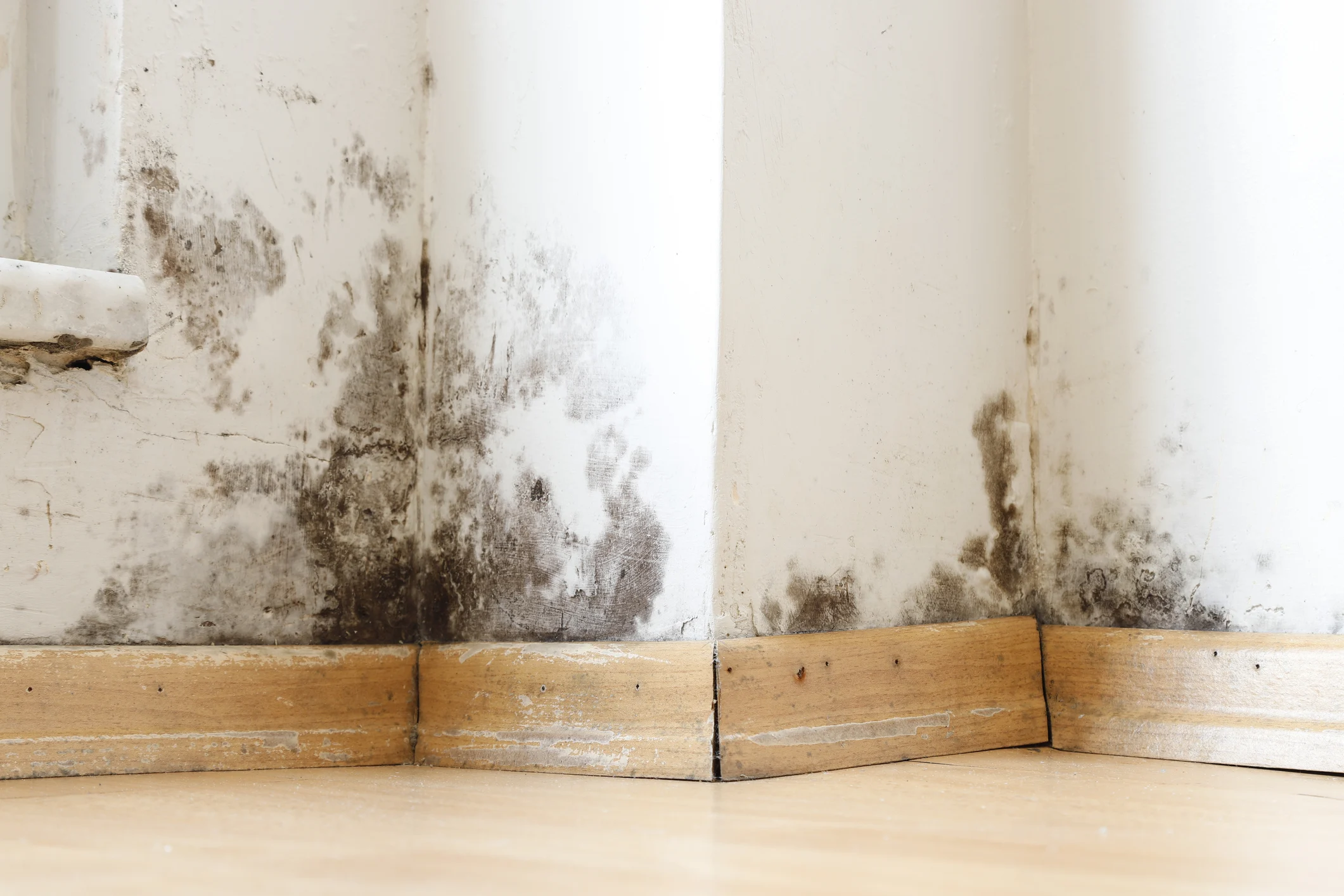 Emergency Cleaning Services: Responding to Water and Fire Damage